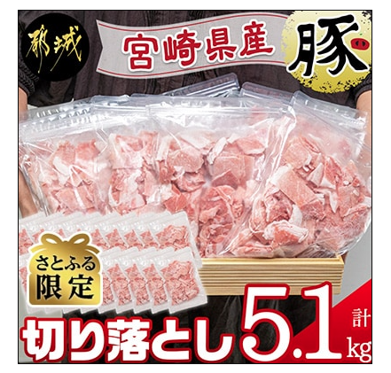 宮崎県産豚切り落とし 5.1kg 1