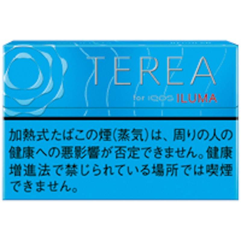 テリア レギュラー 1