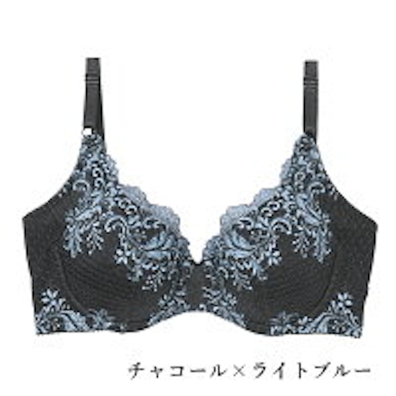 つつまれ美乳ブラ 1