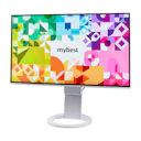 FlexScan EV2781