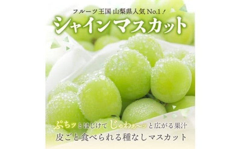 4回お届けフルーツ定期便 3
