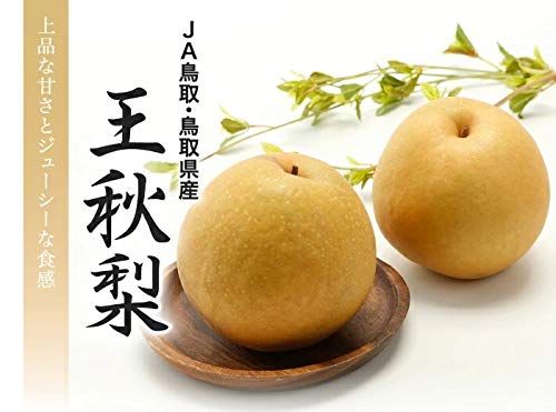 王秋梨 風のいたずら 4