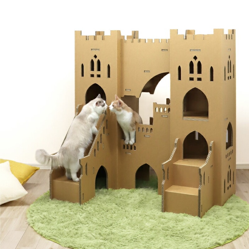 Twin Castle 1