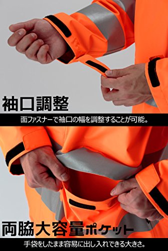 レインベルデN  6
