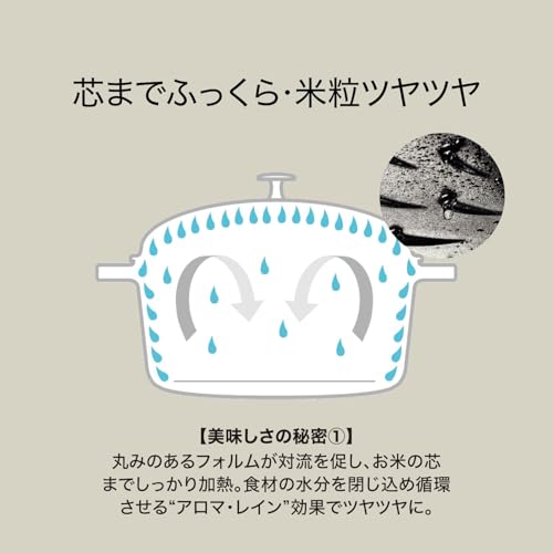 鋳物ホーロー 炊飯鍋 3