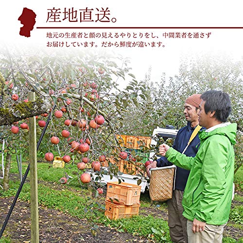 山形県産 完熟サンふじりんご 5