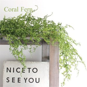 21年 フェイクグリーンのおすすめ人気ランキング10選 Mybest