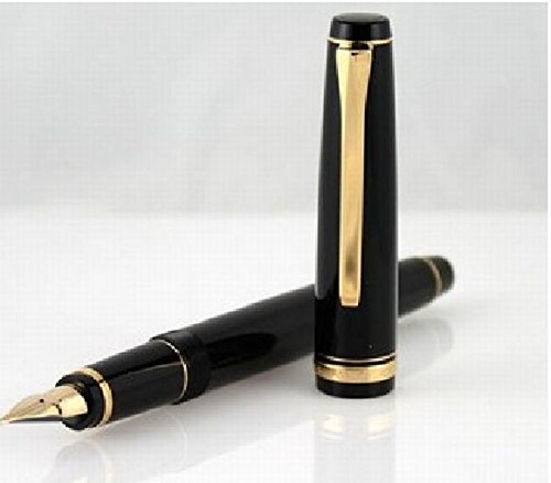Namiki 万年筆18金細字並木