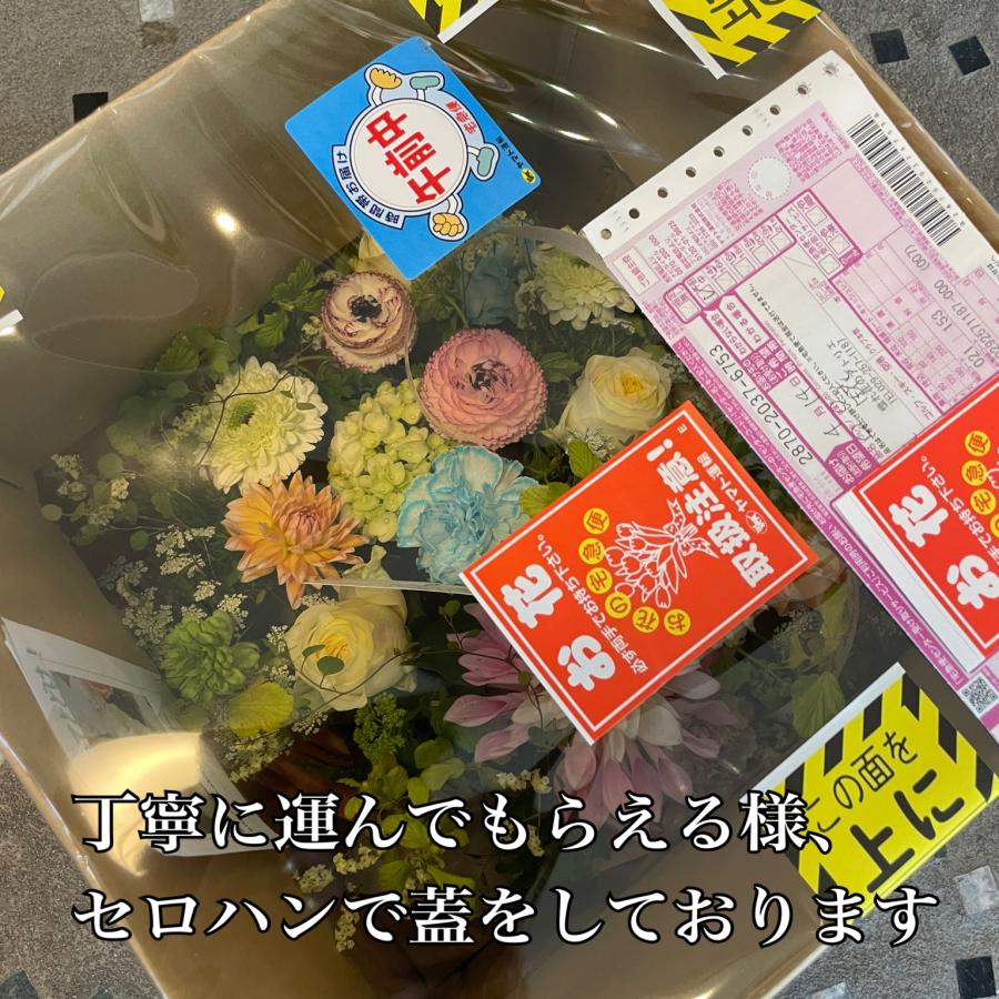 花キューピット 2