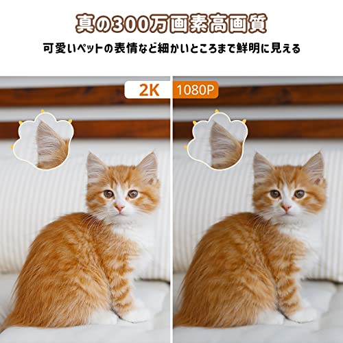 防犯カメラ 2