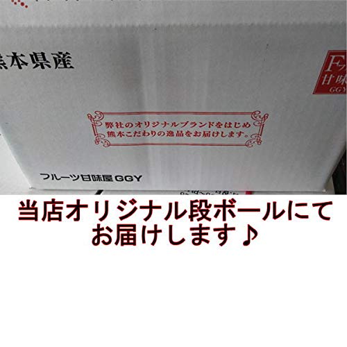熊本産みかん 訳あり 2