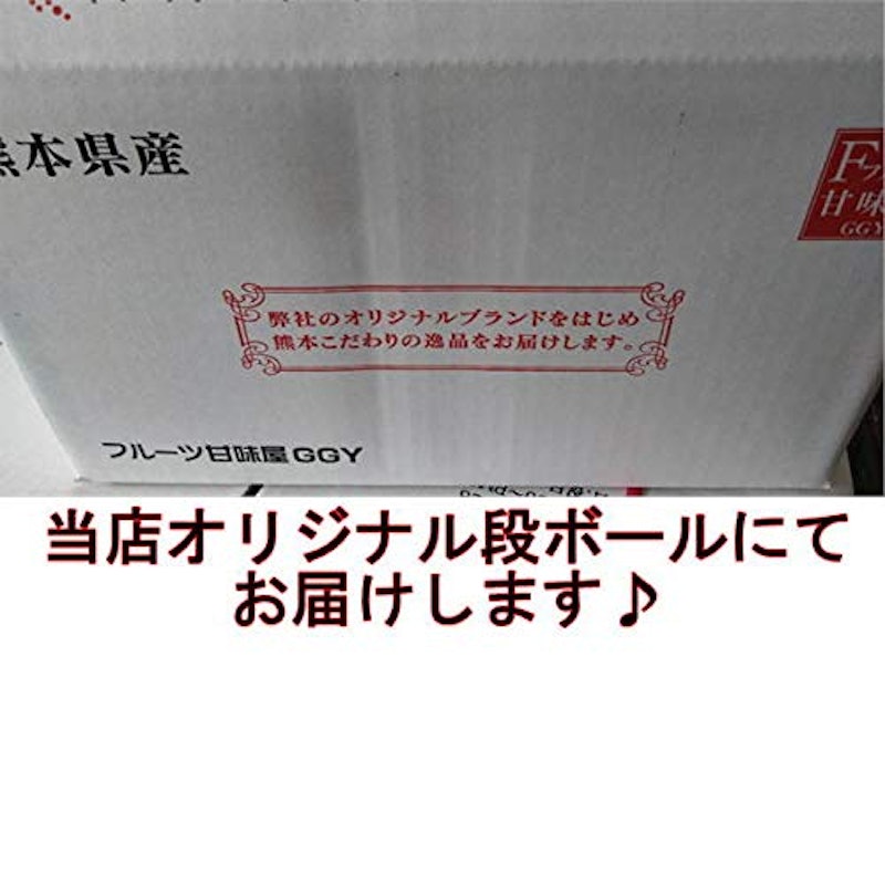 熊本産みかん 訳あり 2