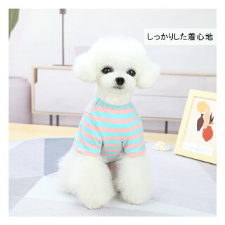 PET FiND ボールドボーダーシャツ 5