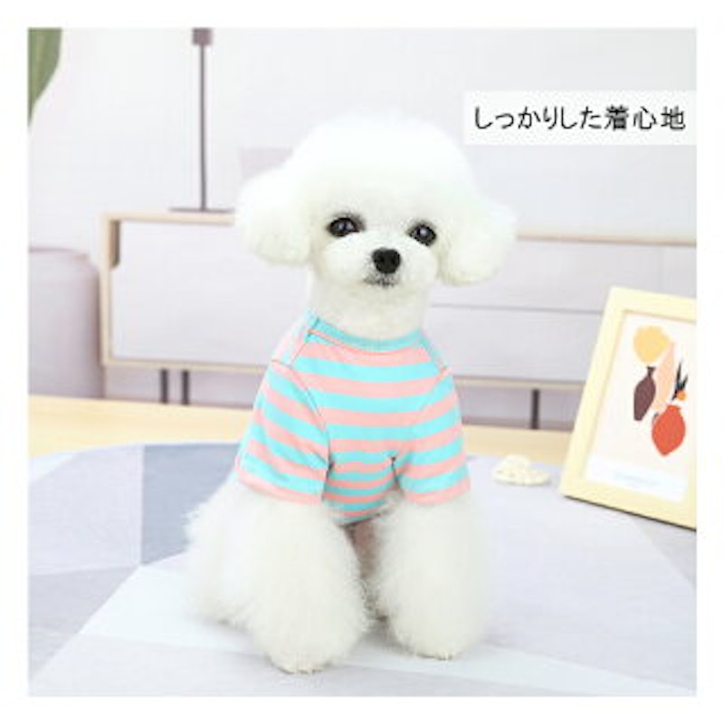 PET FiND ボールドボーダーシャツ 5