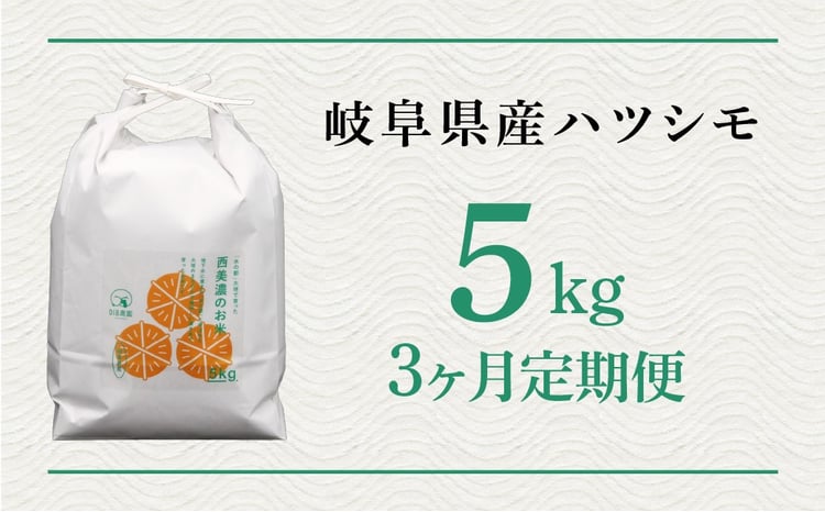 ハツシモ 定期便 1