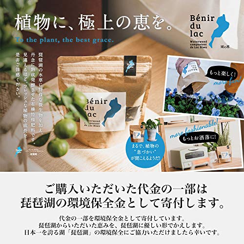 湖の恵 2