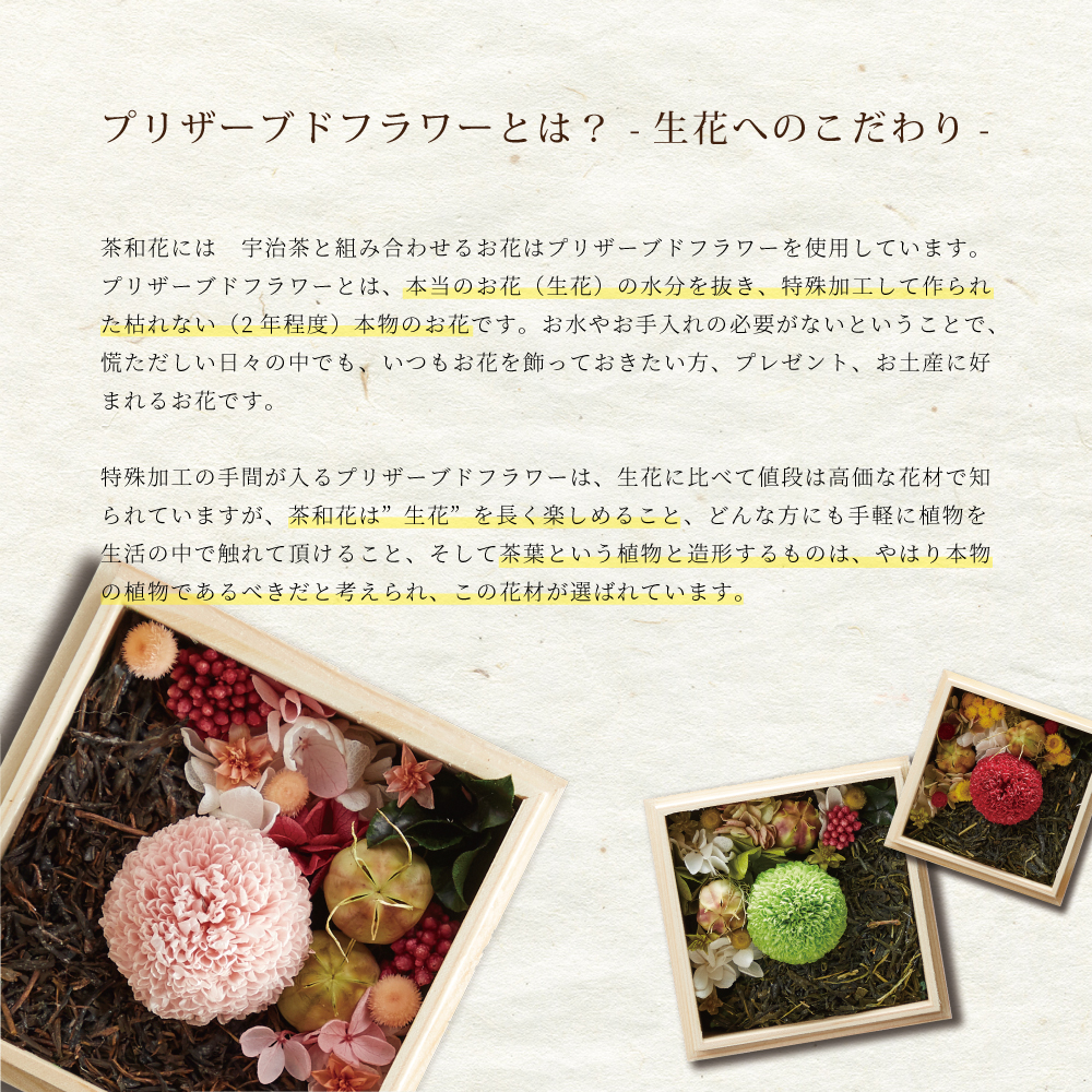 茶和花 4
