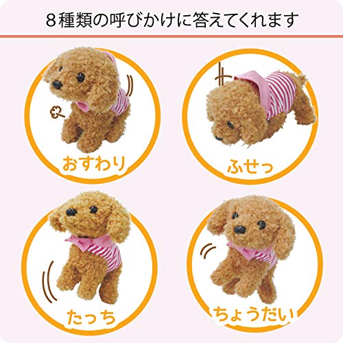 よびかけアクション愛犬モカちゃん 5