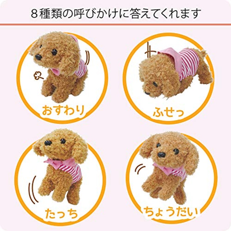 よびかけアクション愛犬モカちゃん 5