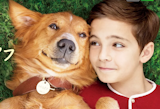 犬映画のおすすめ人気ランキング【2026年5月】 2