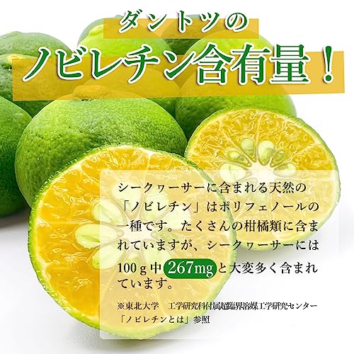 ちむどん 山原シークヮーサー 4
