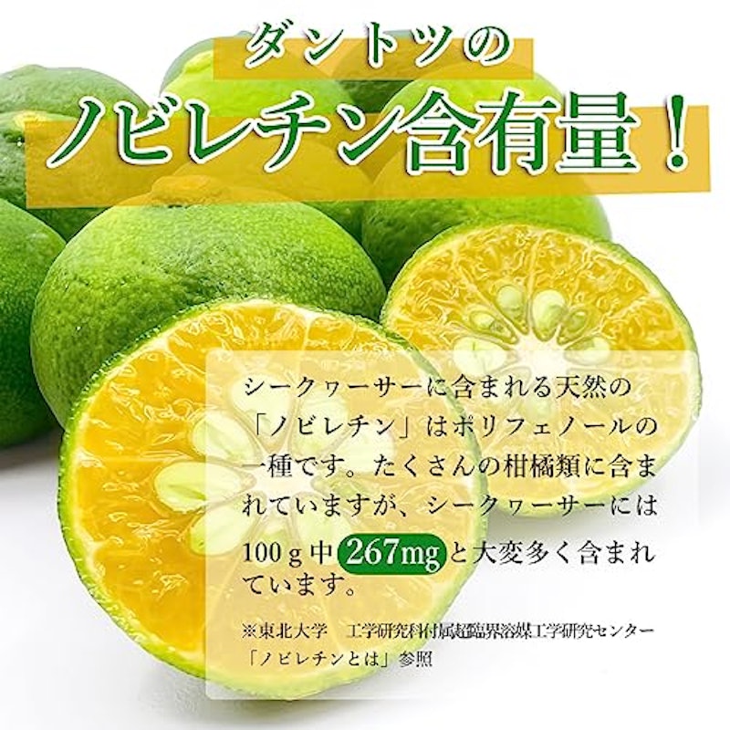ちむどん 山原シークヮーサー 4