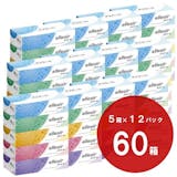 ティッシュのふるさと納税返礼品のおすすめ人気ランキング【2026年9月】 5