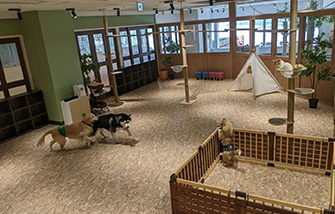 動物たちが暮らす森 アニミル 1