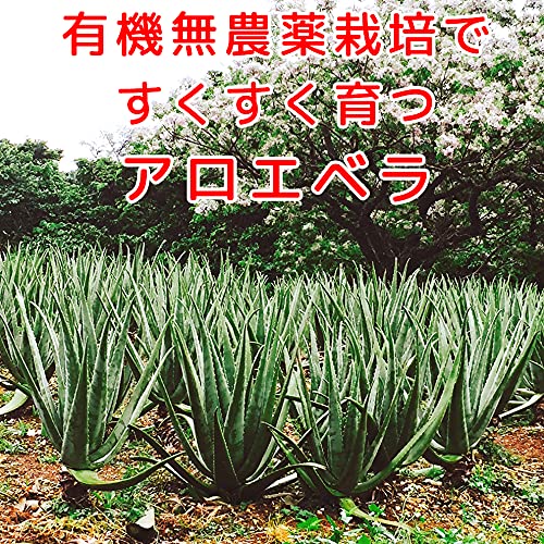 アロエベラジュース 5