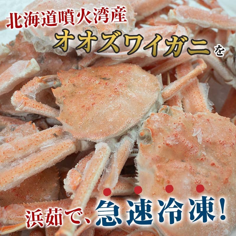 浜茹でオオズワイガニ 4