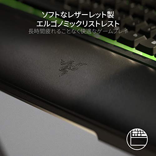 Ornata V2 5