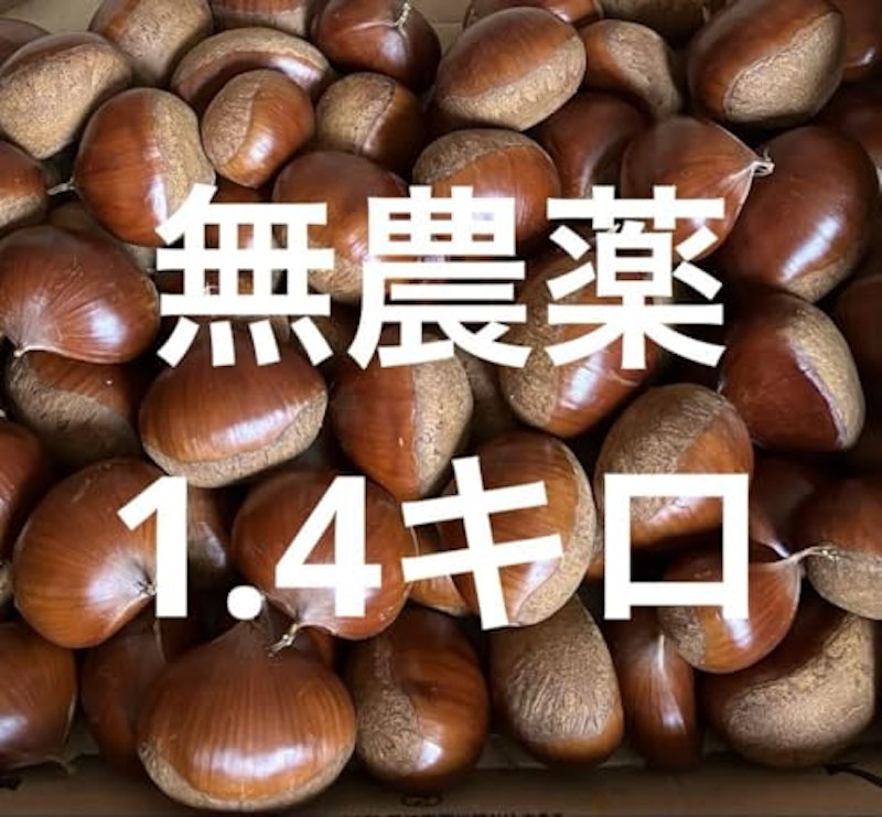 生栗 1