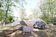 null OAK VILLAGE 1