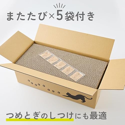 爪とぎ 5