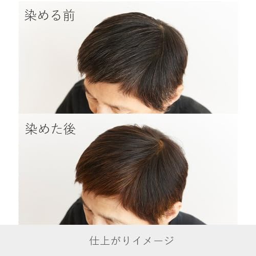 ヘナ100％ 3