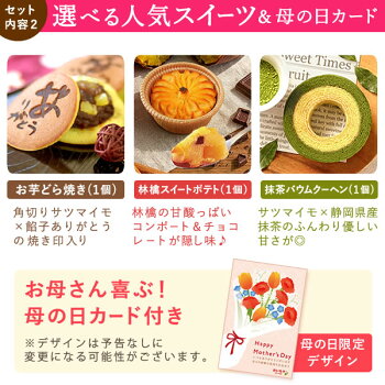 カーネーション＆選べるスイーツ 3