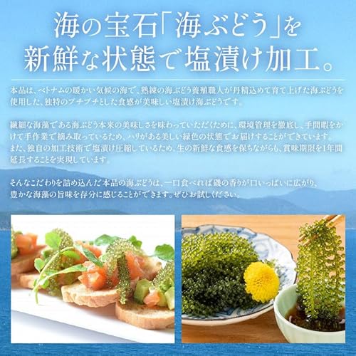 海ぶどう 2