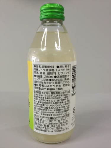 梅ひと雫 Wakayama GingerAle 2