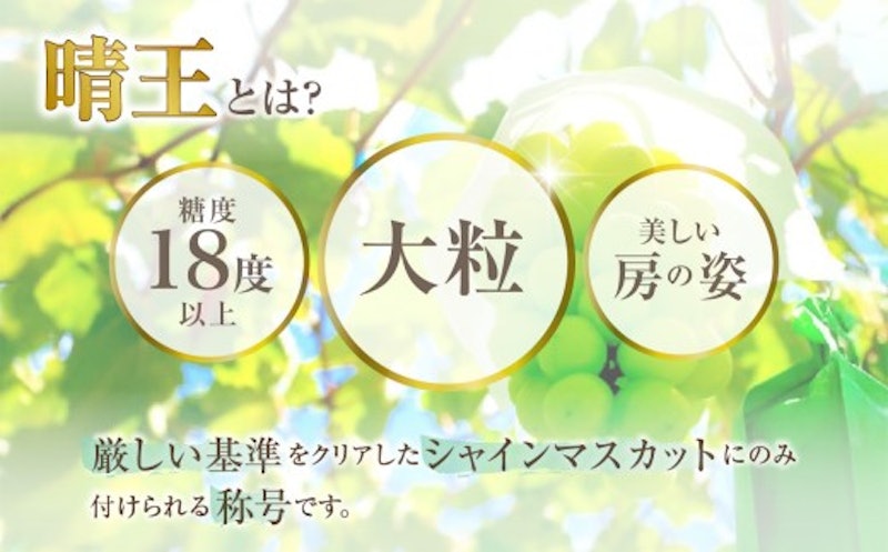 岡山県産シャインマスカット「晴王」1房 2