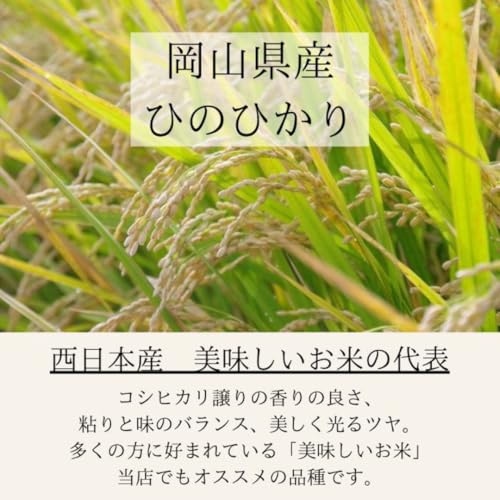 ひのひかり 5