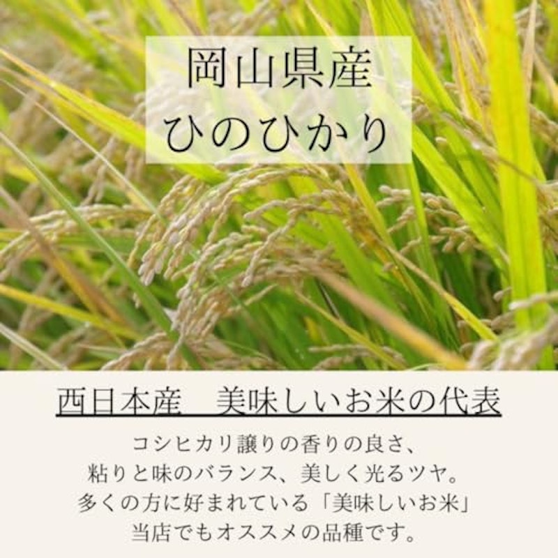 ひのひかり 5