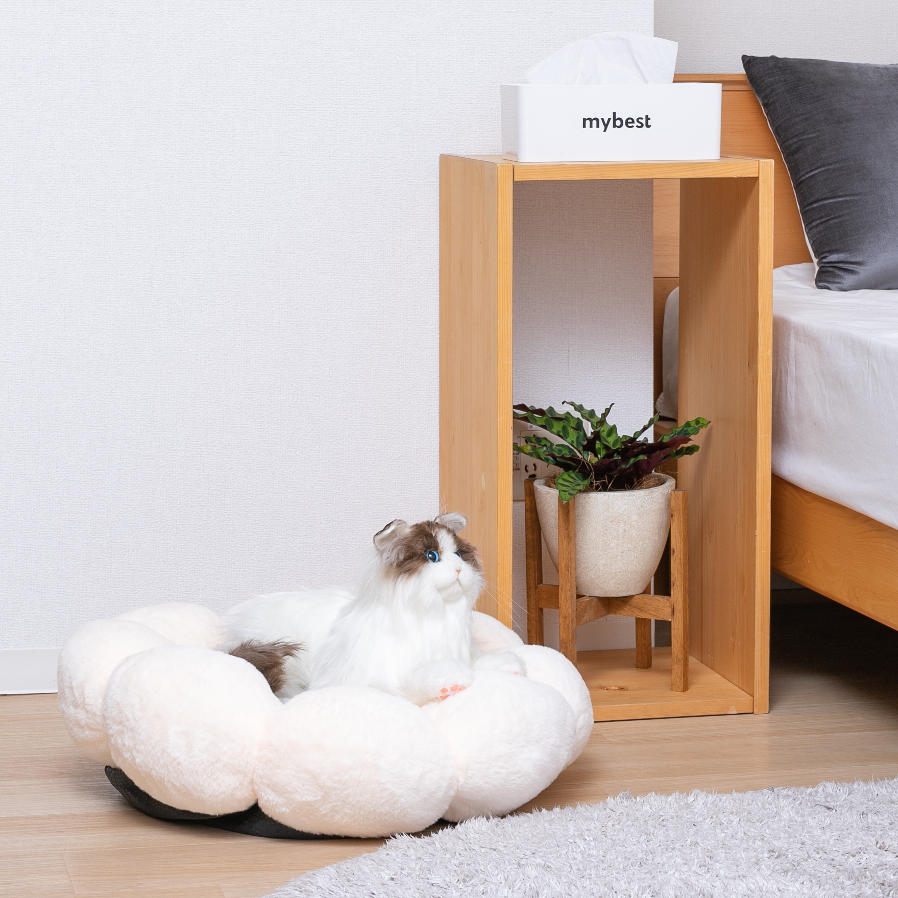 Melville 花型ペットベッドをレビュー！クチコミ・評判をもとに徹底