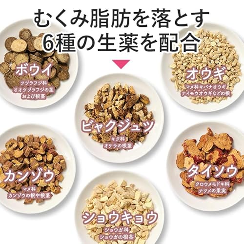 防已黄耆湯錠SX 5