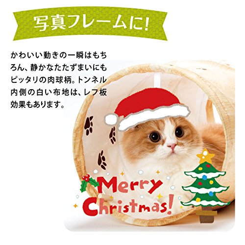 キャットトンネルスパイラル 2