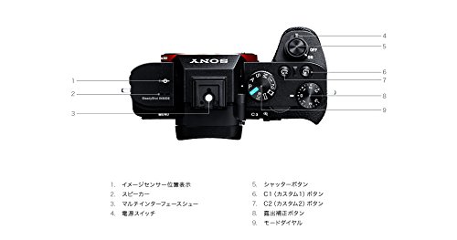 α7 II 8