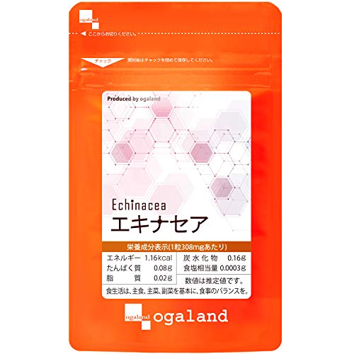 エキナセア 1