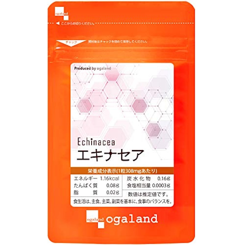 エキナセア 1