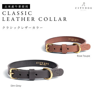 クラシックレザーカラー 2