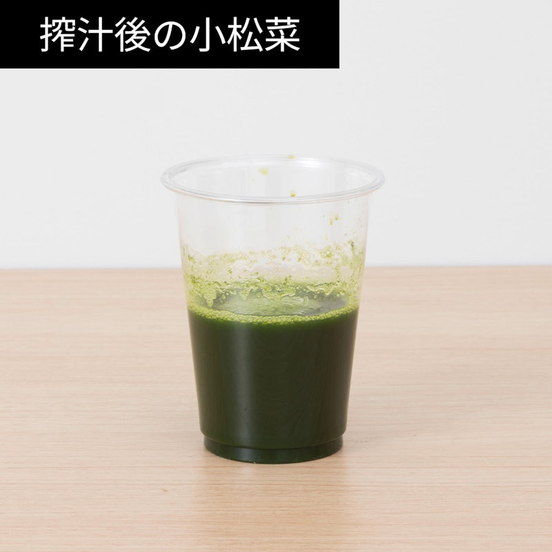 低速ジューサー 12