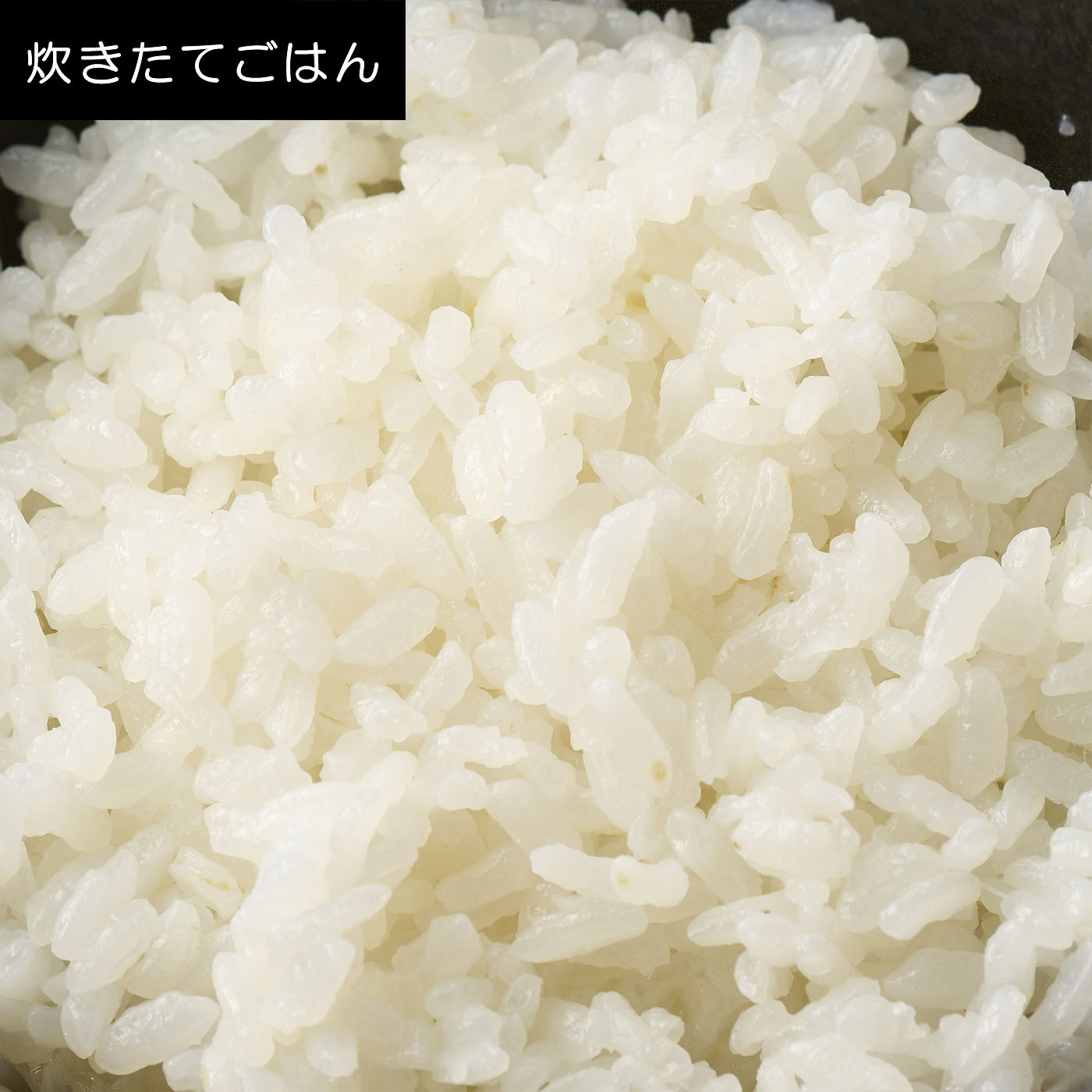 マイコン炊飯ジャー 10